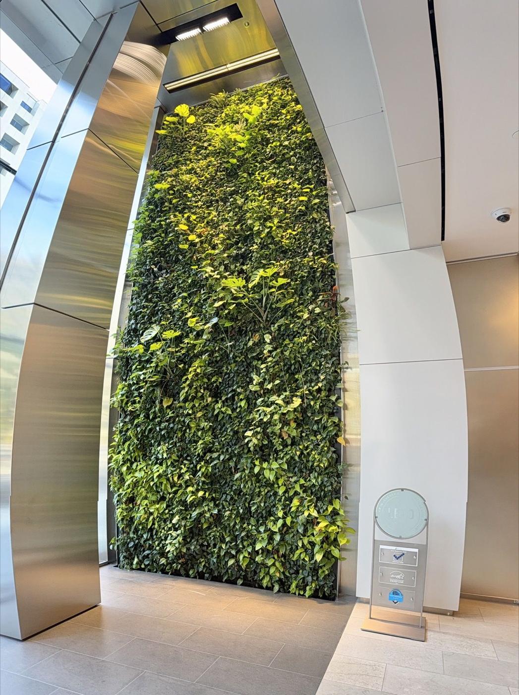 Indoor living wall in a building atrium