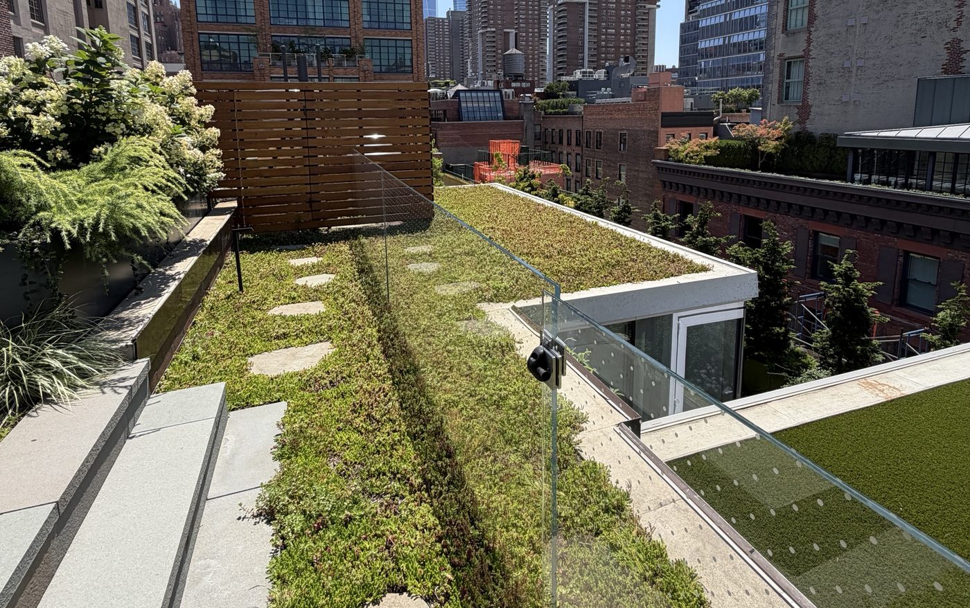 Sedum green roof with stepping stones and a glass railing overlooking Manhattan buildings
