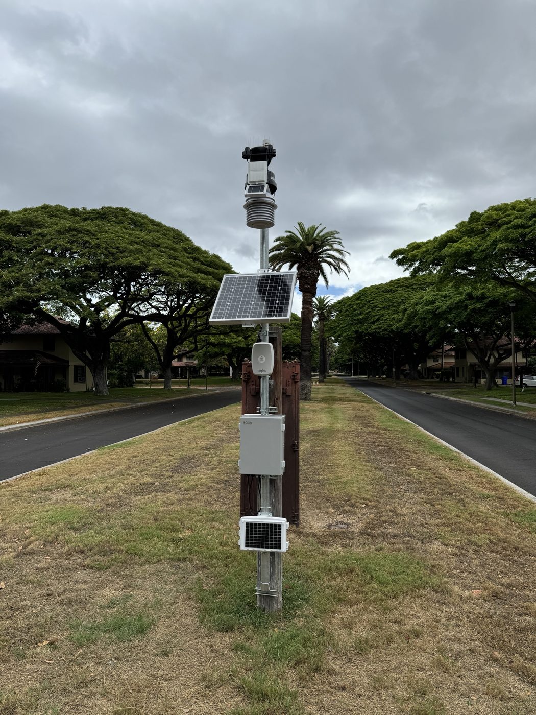 Pole-mounted solar LoRaWAN gateway and weather station in a grass median between two streets