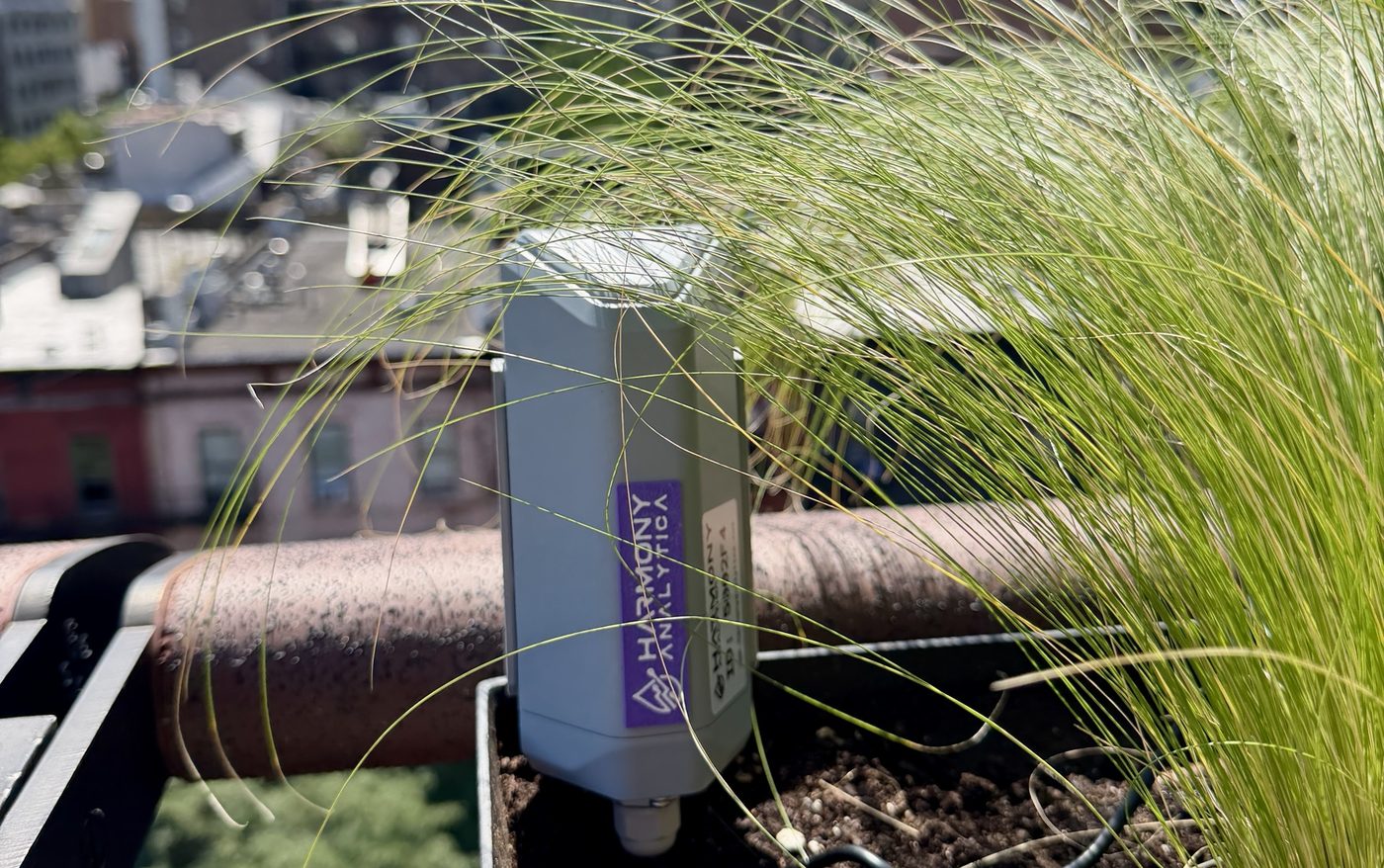 Harmony Analytica LoRaWAN sensor node in a rooftop planter with ornamental grass and the Manhattan skyline behind
